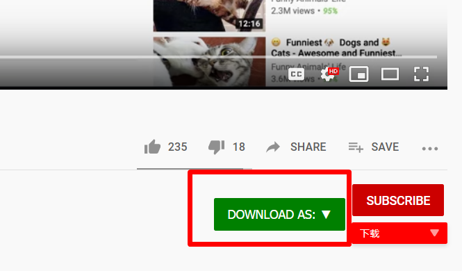 youtube视频下载