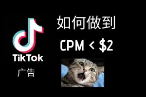 快来了解疯狂的Tiktok广告策略：如何将CPM降低到1美元！